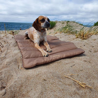 Automobilio Sėdynės Kilimėlis Mažiems Šunims