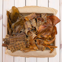 skanukai šunims akcija