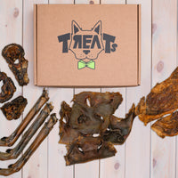 stirnos koja šunims