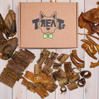 skanukai šunims internetu