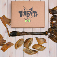 Skanukai šunims akcija