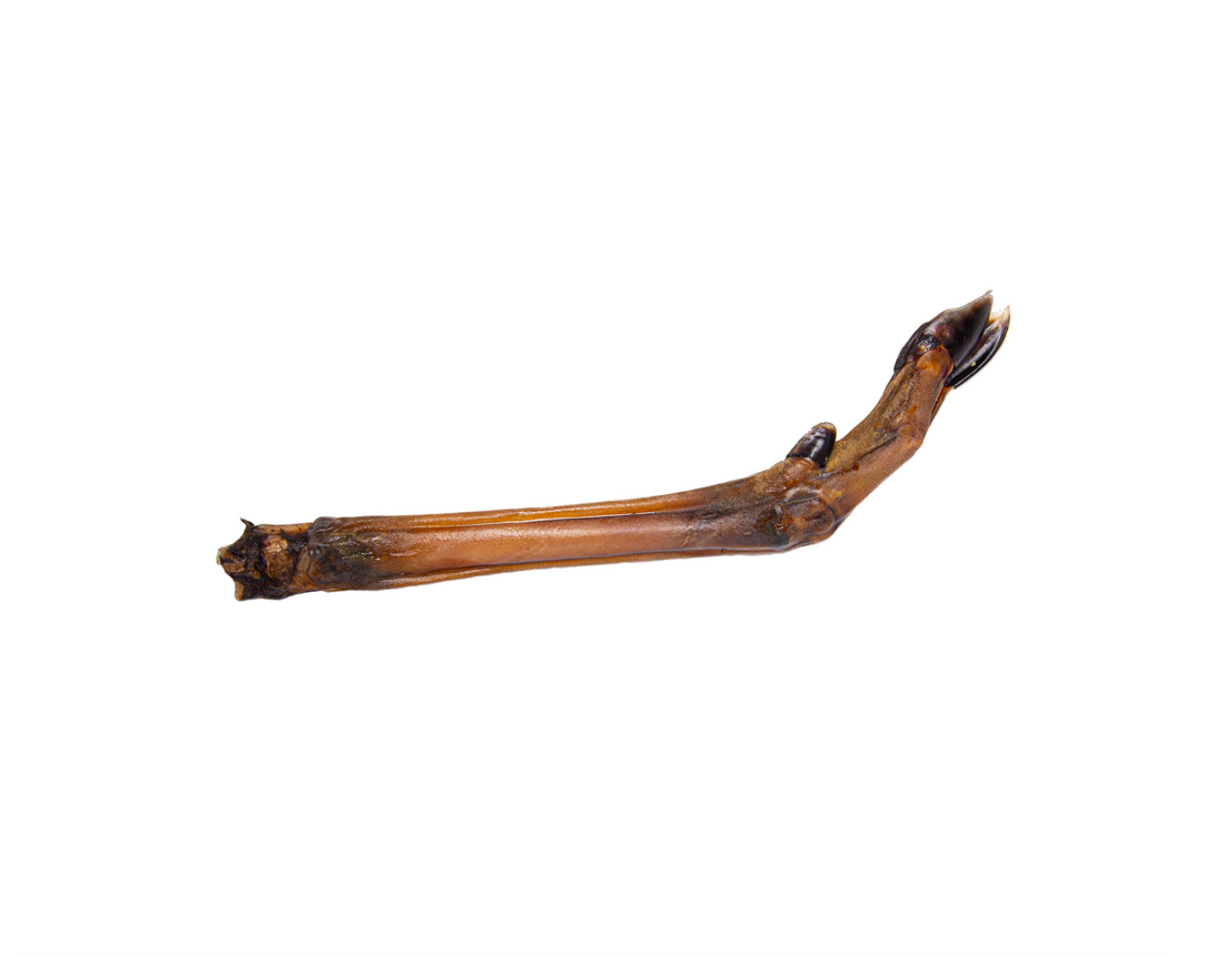 Stirnos koja (3 vnt.)