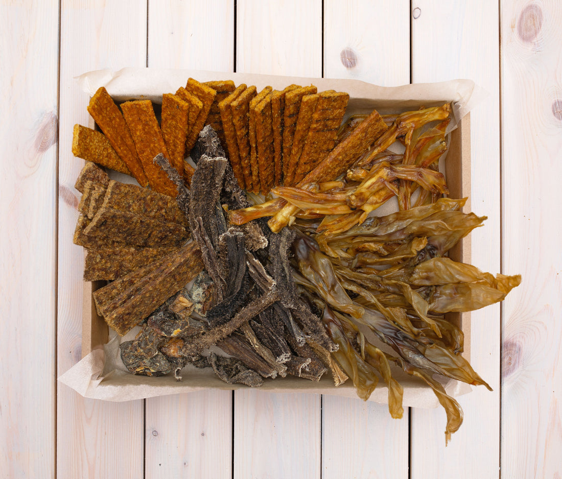 Sveiki skanukai mažos veislės šunims