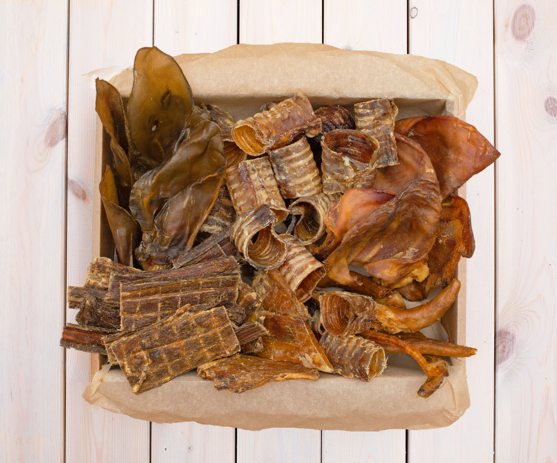 skanukai šunims akcija 