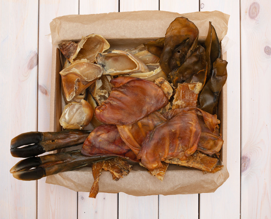 Skanukai dideliems šunims