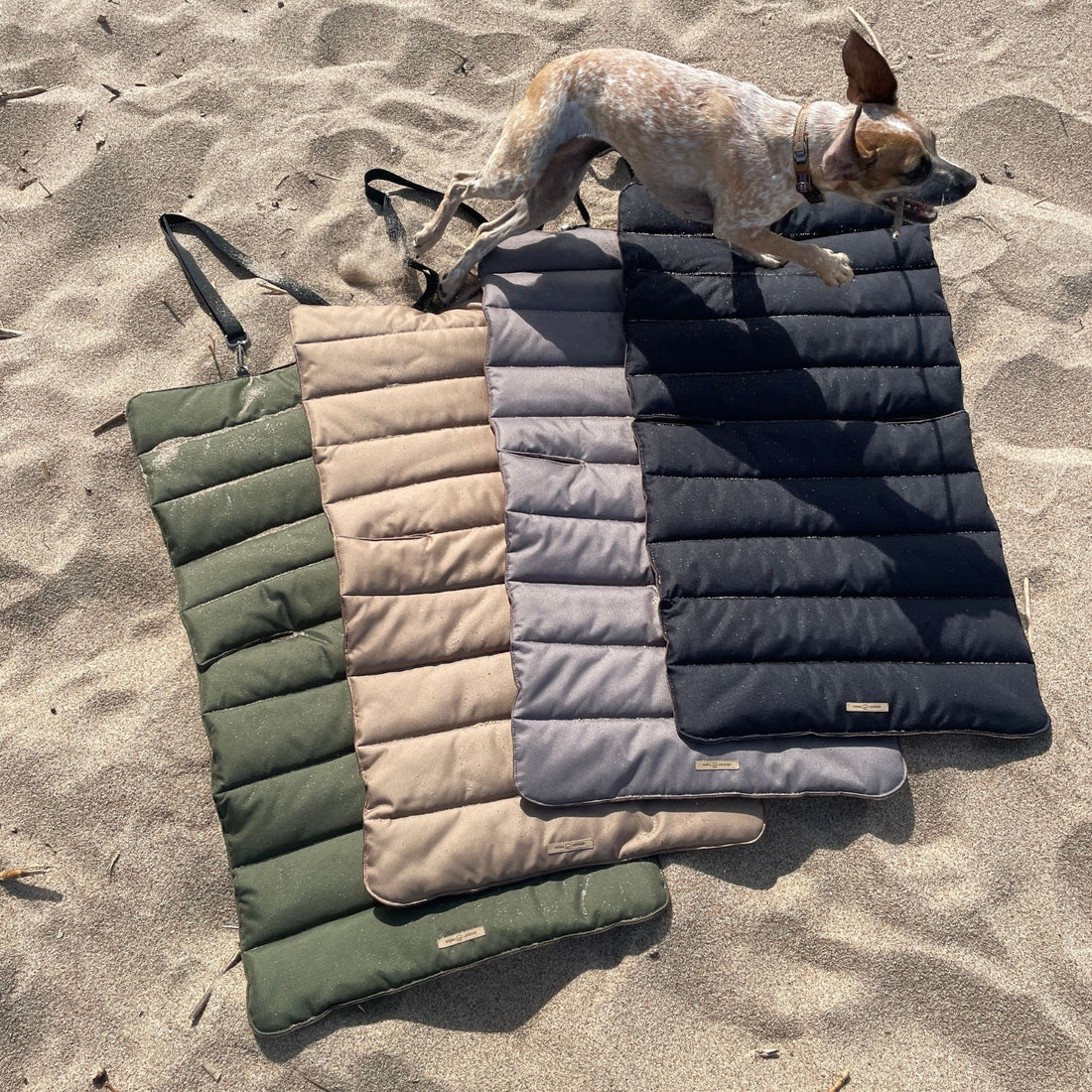 Automobilio Sėdynės Kilimėlis Mažiems Šunims