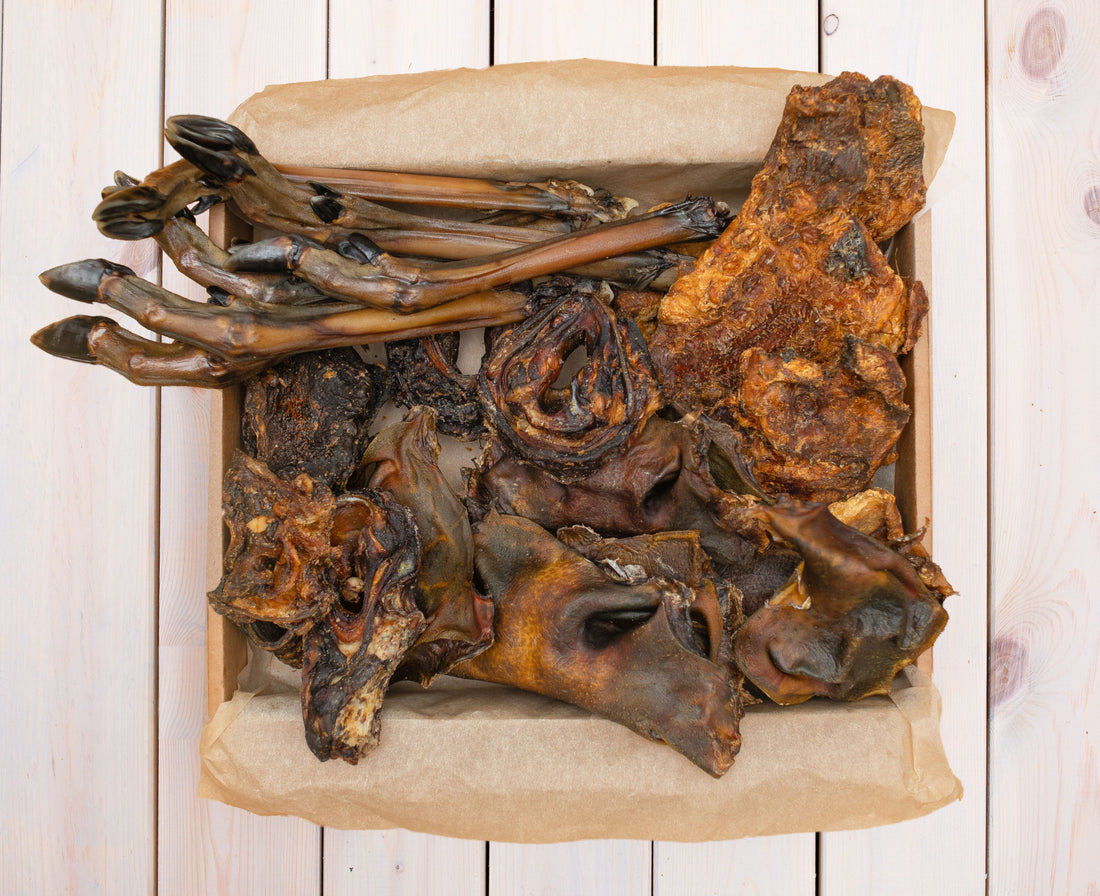 Skanukai šunims treats