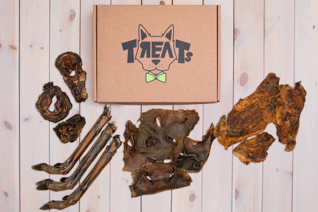 stirnos koja šunims 