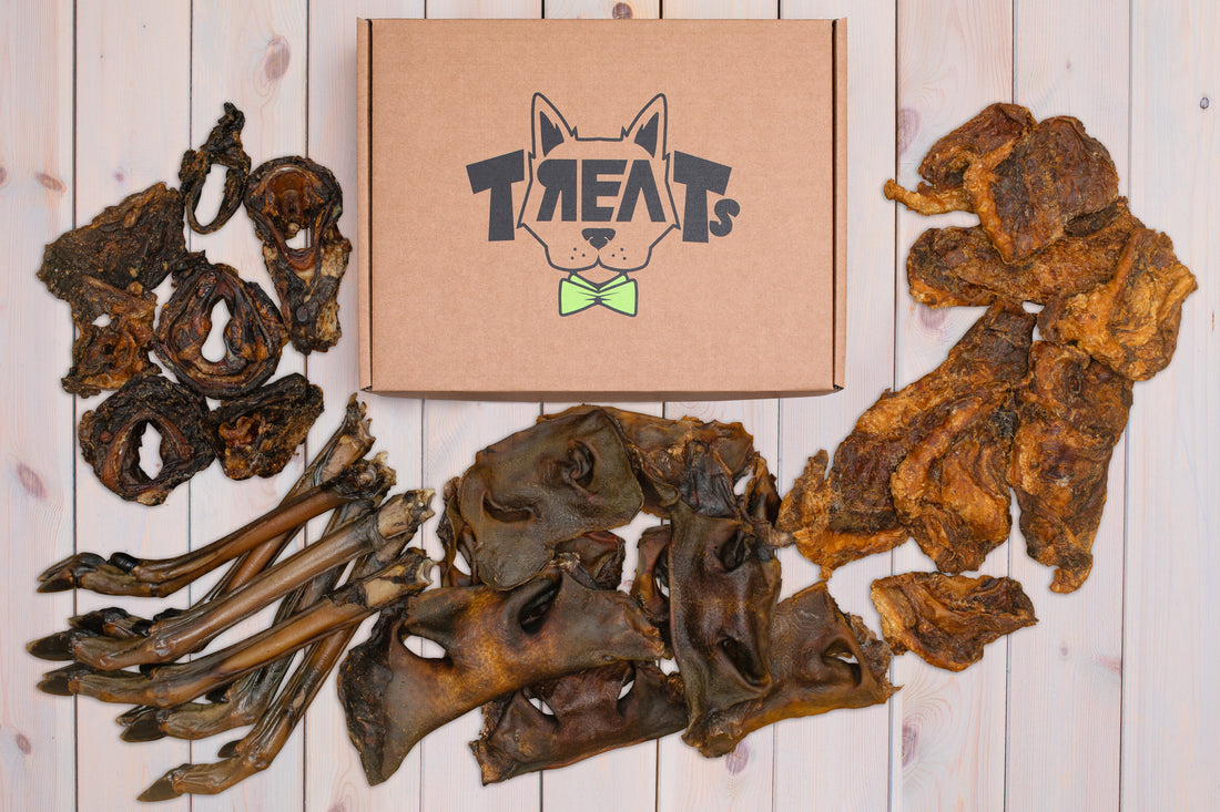 sveiki skanukai internetu