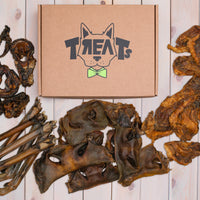 sveiki skanukai internetu