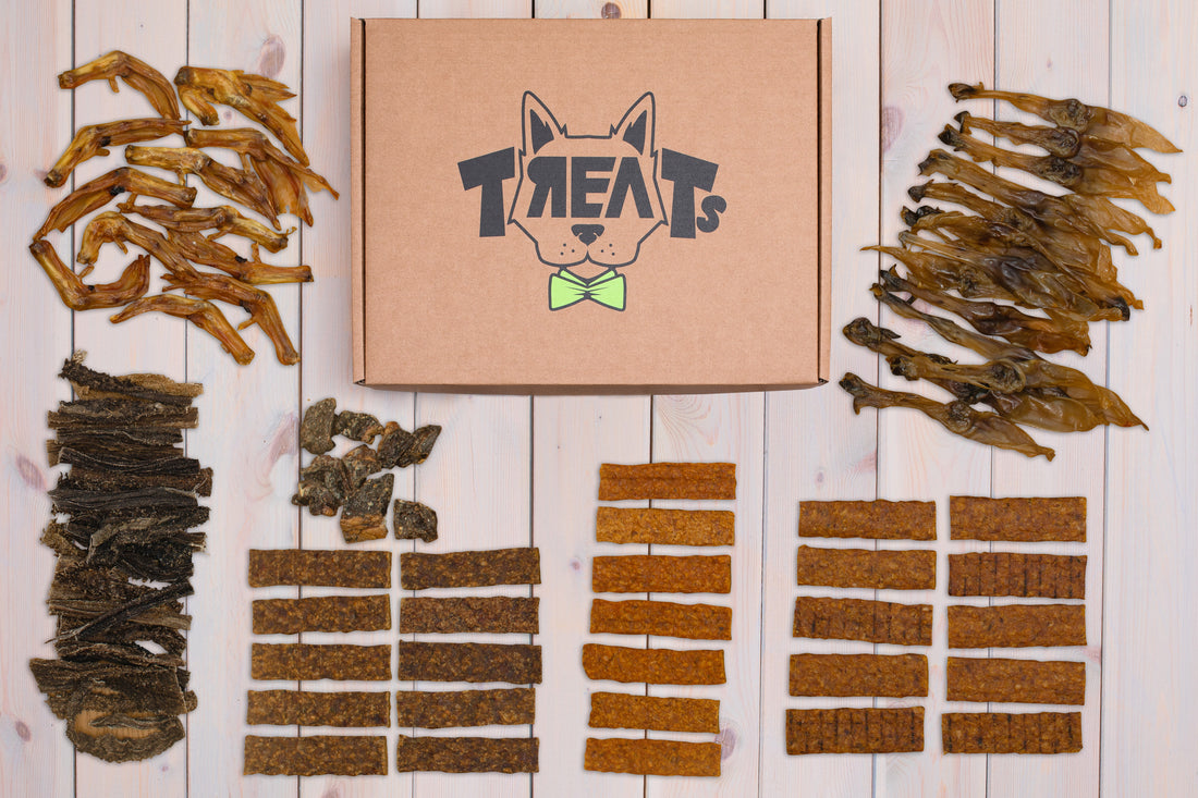 sveiki skanukai mažiems šunims