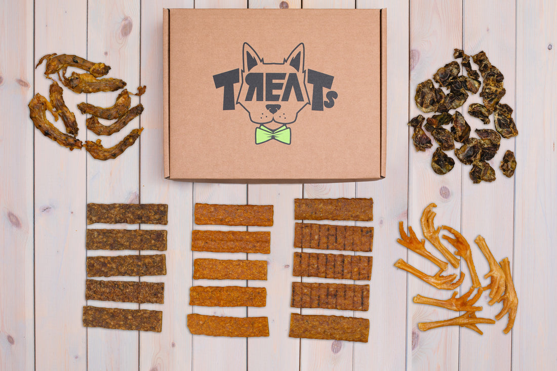 Sveiki skanukai augintiniui