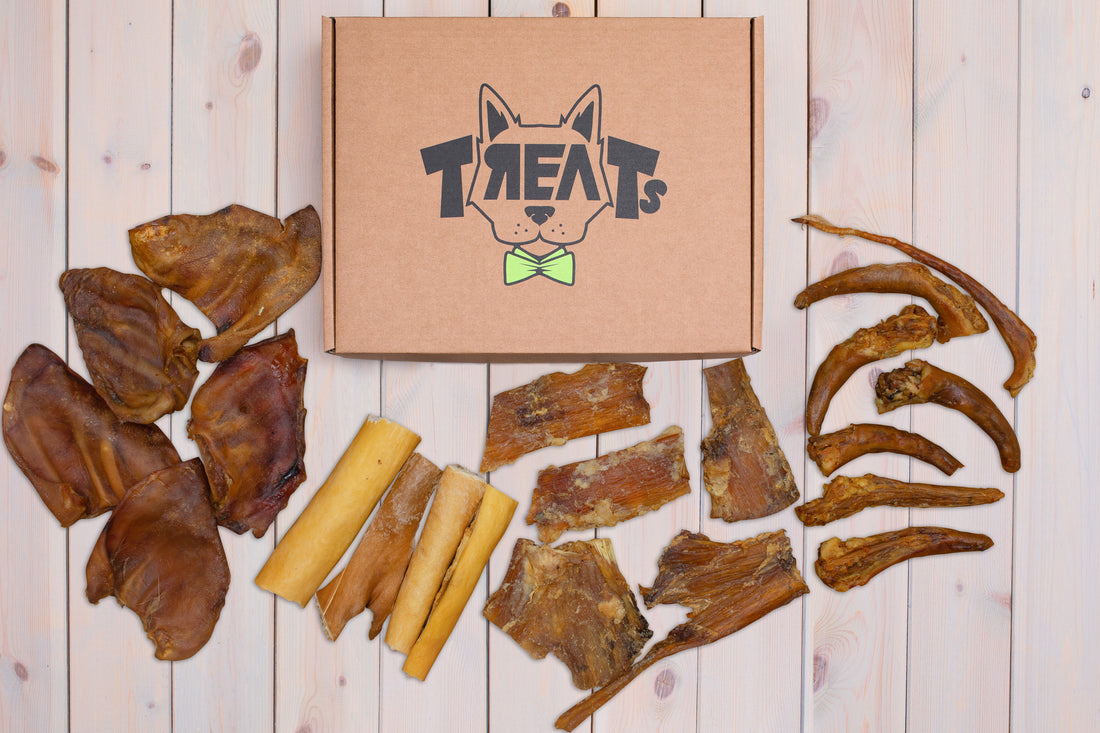 Treats skanukai šunims