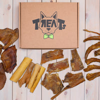 Treats skanukai šunims