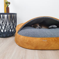 Guolis Šunims “Urvas” Deliux Su Merino Vilna