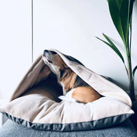 Guolis Šunims Pagalvė Su Stogu