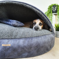 Guolis Šunims “Urvas” Deliux Su Merino Vilna